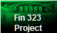 Fin 323
Project