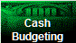 Cash
Budgeting