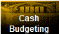 Cash
Budgeting