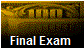Final Exam 