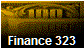 Finance 323