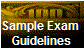 Sample Exam 
Guidelines
